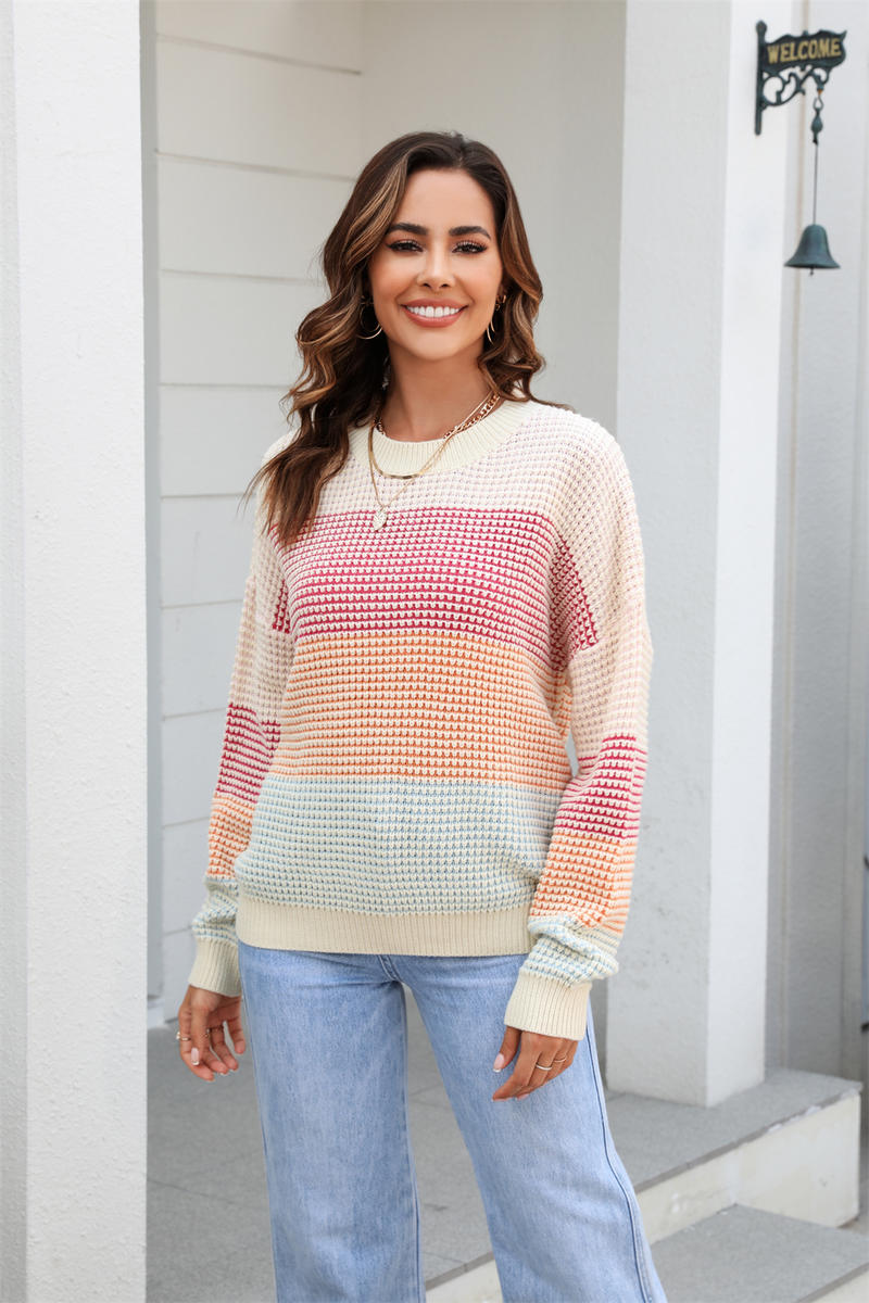 Colorblock Crew Neck Long Sleeve Sweater