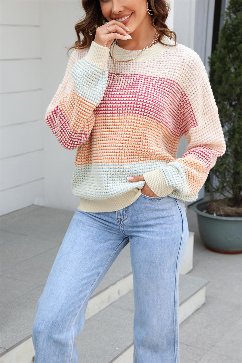 Colorblock Crew Neck Long Sleeve Sweater