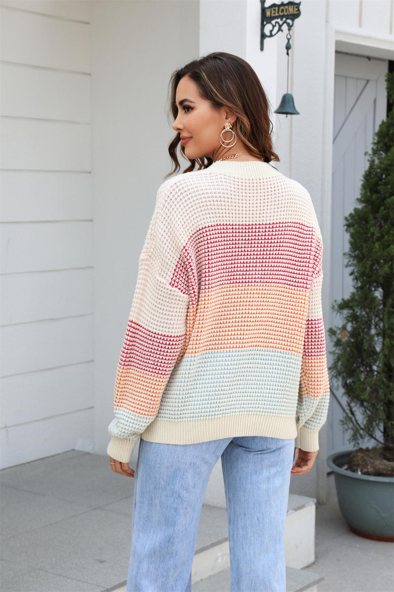 Colorblock Crew Neck Long Sleeve Sweater